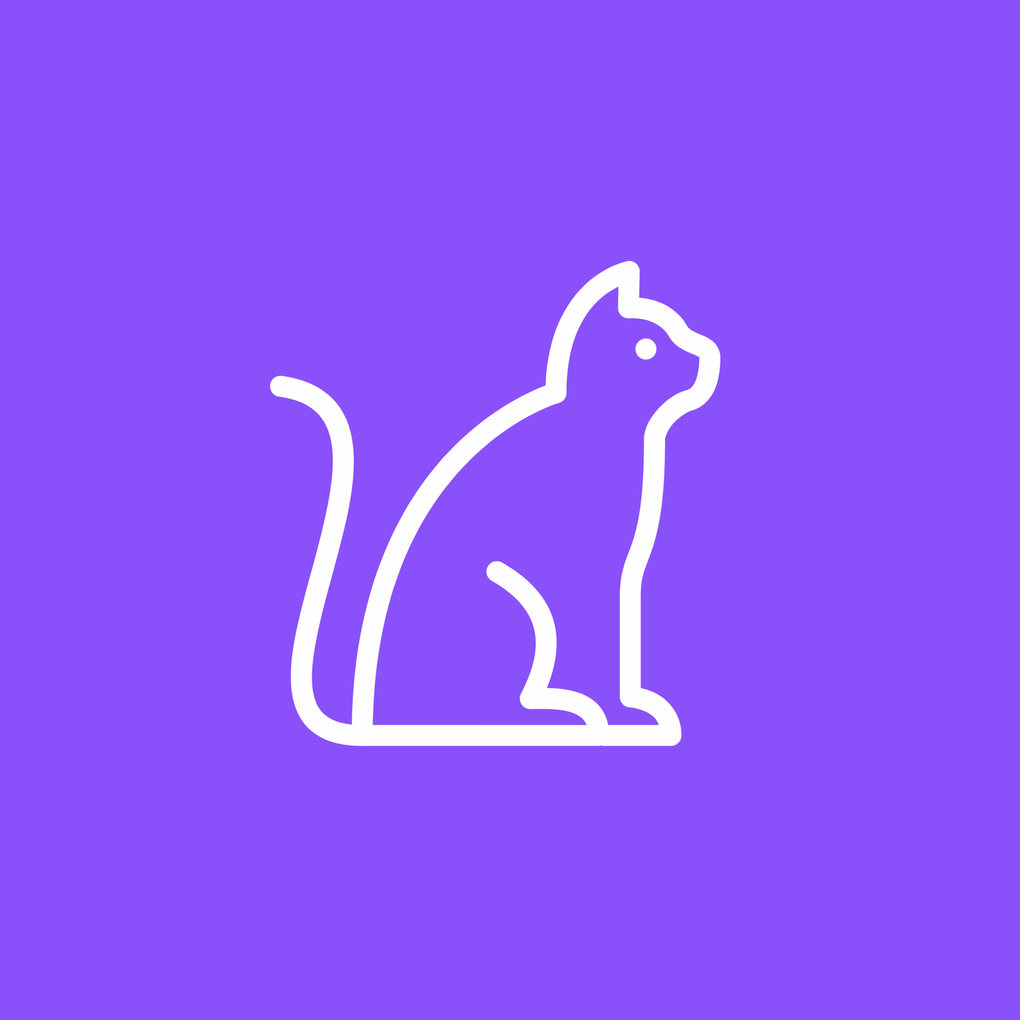 Cat Sitting
